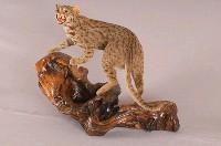 石虎藏品圖，第4張